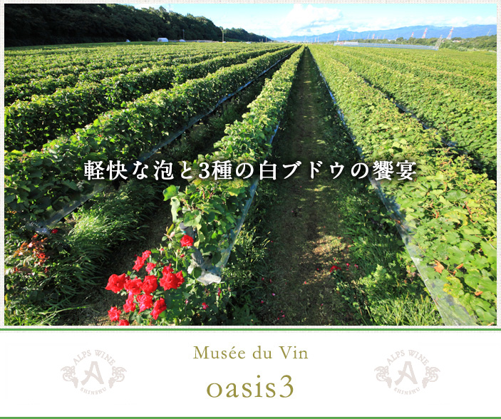 oasis 3